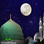 من البعثة إلى الهجرة (1)