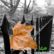 صنف من الناس ليتك لم تحتك بهم