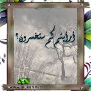 أرأيتم كم ستخسرون؟