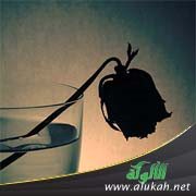 مختصر الكلام على بلوغ المرام (باب الحيض)