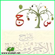س و ج على شرح المقدمة الآجرومية (15/ 44)