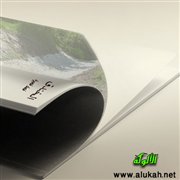 الخندق (قصة قصيرة)