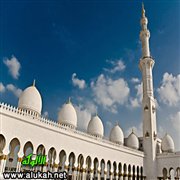 حوادث السيارات.. حقائق وأسباب