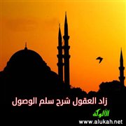 زاد العقول شرح سلم الوصول (17/ 17)