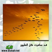 قد سافرت كل الطيور (قصيدة)
