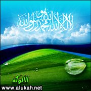 المسارعة في الكفر