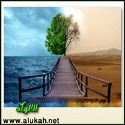 الفرق شاسع والبون واسع