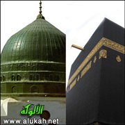 من البعثة إلى الهجرة (3)