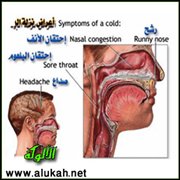 نزلات البرد