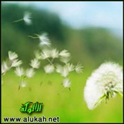 الأخلاق في حياتنا