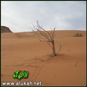 الابتلاء.. تمحيص وارتقاء