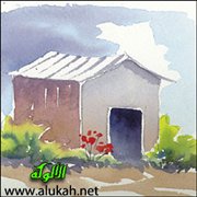 خطة سالي الذكية (قصة قصيرة)