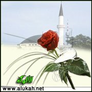 آداب المريض وزيارته (7/ 15)
