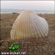 قناعاتنا تشكل حياتنا