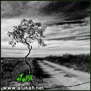 الوصية (قصة قصيرة)