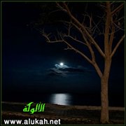 أيها المهموم.. لا تنحنِ