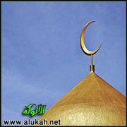أنواع الولاية