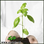 مرآة العمل الخيري (73)
