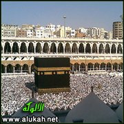 توحيد الألوهية (2/ 27)