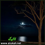 سكرة الشعر (قصيدة)
