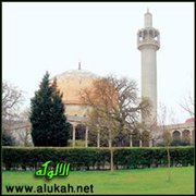 زيارة طلاب الدنمارك لمسجد لندن المركزي للتعرف على الإسلام