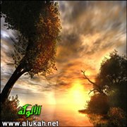 لماذا تركنا الله لهؤلاء؟!