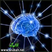 قراءة نقدية لجوانب من نظرية الذكاءات المتعددة لغاردنر