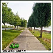 موكب السعداء