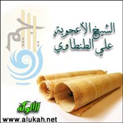 الشيخ الأعجوبة علي الطنطاوي