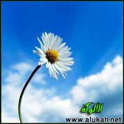 زهرة الزمان.. اعتبر أيها الإنسان