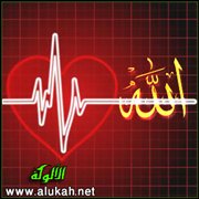 الاصطلاحات الشرعية في مسألة المحبة الإلهية
