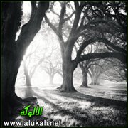 ظلال الروح (قصيدة)