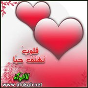 قلوب تهتف حبا