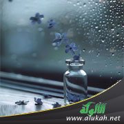 طعم الحياة