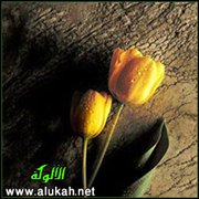 عيد الفطر في عيون شعراء الأندلس