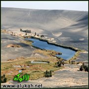 هذيان الحمى (قصيدة)