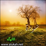 عودة (قصيدة)