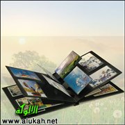 توالج (2)