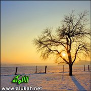 الصباح المفقود (قصيدة تفعيلة)