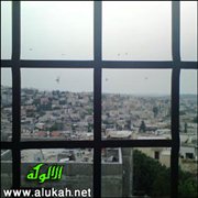 ديكتاتورية الأب