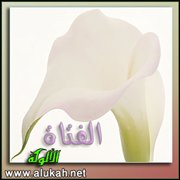 نشيد الفتاة