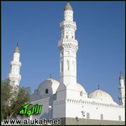 الإسلام دين النظام