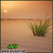 التصحر في العالم العربي
