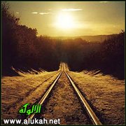 الحياة.. سفر وقدر (قصيدة)
