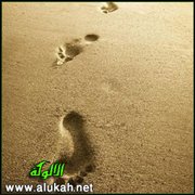 أين أثرك؟!