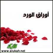 أوراق الورد