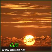 فيا ليتني لم أكن شاعرا (قصيدة)