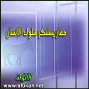 حمار يستنكر سلوك الإنسان