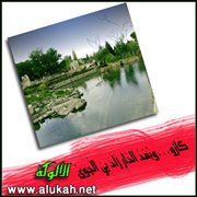 كازو.. وبعد الدار زاد بي الجوى (قصيدة)