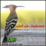 الفوائد التربوية من قصة سليمان عليه السلام في القرآن الكريم